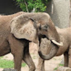 Meet your Posher, Georgia